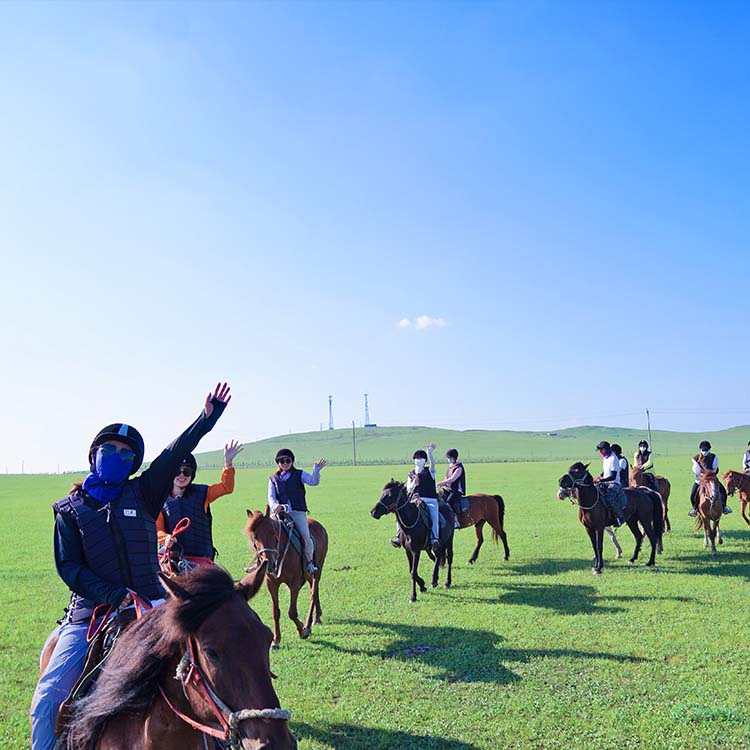 Paardrijden training Case